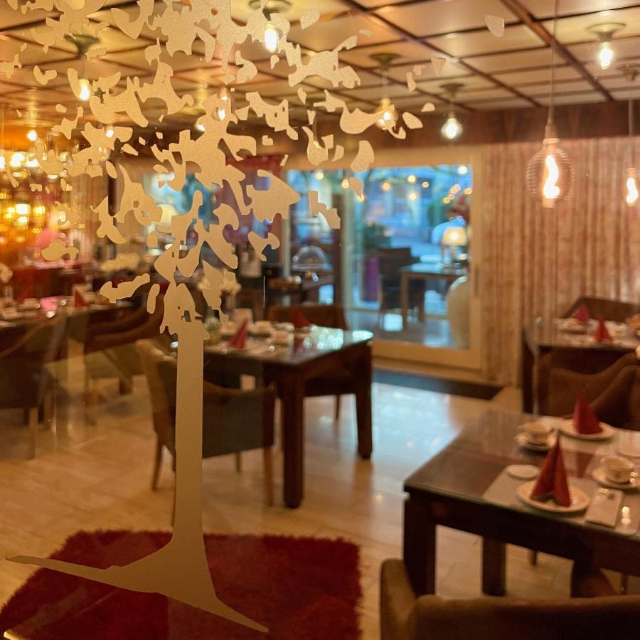 Villa Am Park 바트즈위스케나흔 외부 사진