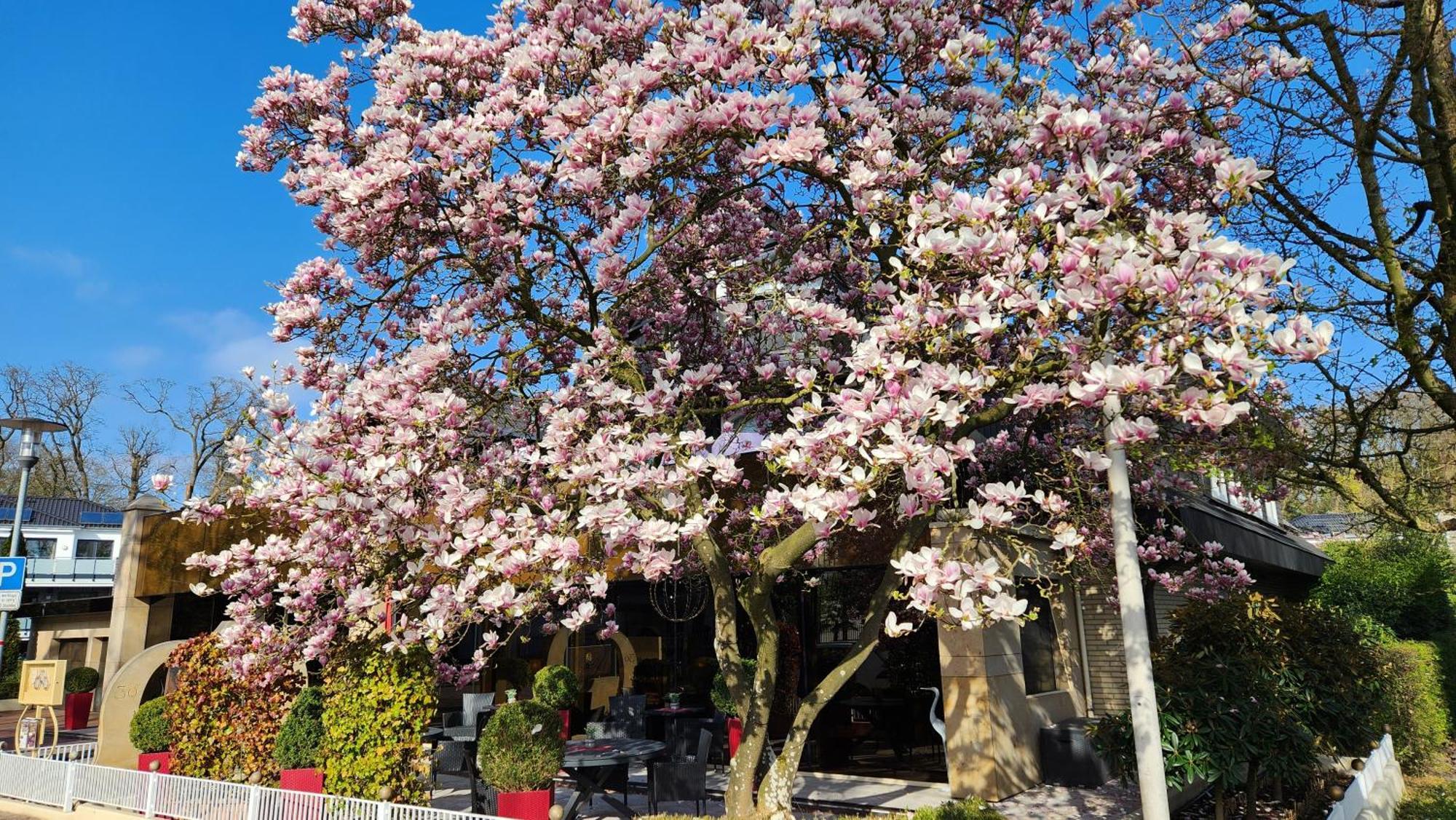 Villa Am Park 바트즈위스케나흔 외부 사진